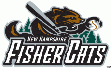New Hampshire Fisher 2004-2007 Primary Logo heat sticker