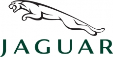 Jaguar Logo 03 custom vinyl decal