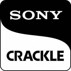 Sony brand logo 01 custom vinyl decal