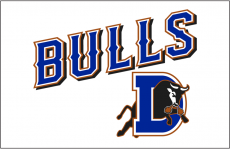 Durham Bulls 2013-Pres Jersey Logo heat sticker