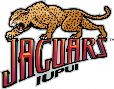 IUPUI Jaguars 2008-Pres Alternate Logo custom vinyl decal