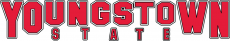 Youngstown State Penguins 1993-Pres Wordmark Logo 01 heat sticker