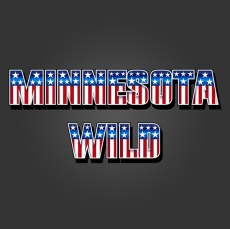 Minnesota Wild American Captain Logo custom vinyl decal