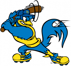 Delaware Blue Hens 1999-Pres Mascot Logo 05 custom vinyl decal