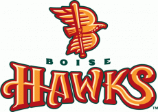 Boise Hawks 2011-Pres Primary Logo heat sticker