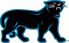Carolina Panthers 1995-2011 Alternate Logo heat sticker