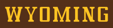 Wyoming Cowboys 2006-2012 Wordmark Logo heat sticker