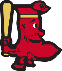 Boston Red Sox 1950-1959 Alternate Logo custom vinyl decal