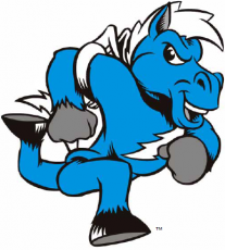 Middle Tennessee Blue Raiders 2000-Pres Mascot Logo custom vinyl decal