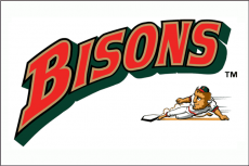 Buffalo Bisons 1998-2008 Jersey Logo heat sticker