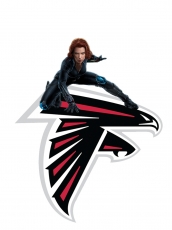 Atlanta Falcons Black Widow Logo heat sticker