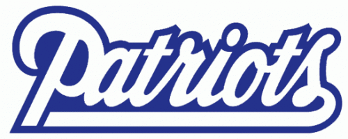 New England Patriots 1993-1999 Wordmark Logo heat sticker