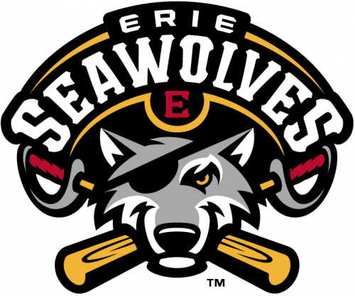 Erie SeaWolves 2013-Pres Primary Logo heat sticker