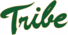 William and Mary Tribe 2009-2015 Primary Logo heat sticker