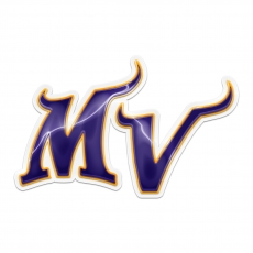 Minnesota Vikings Crystal Logo heat sticker