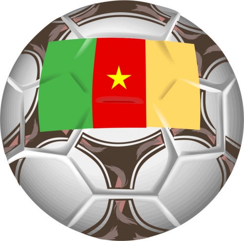 Soccer Logo 12 heat sticker