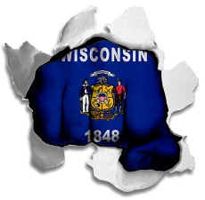 Fist Wisconsin State Flag Logo heat sticker