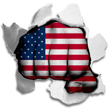 Fist United States Of America Flag Logo custom vinyl decal