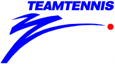 World TeamTennis 1991 Primary Logo heat sticker