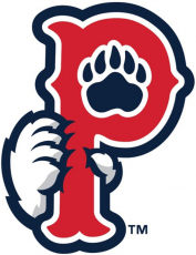 Pawtucket Red Sox 2015-Pres Cap Logo heat sticker