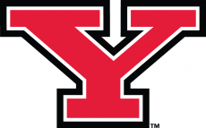 Youngstown State Penguins 2006-Pres Primary Logo heat sticker
