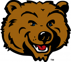UCLA Bruins 2004-Pres Mascot Logo custom vinyl decal
