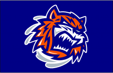 Bridgeport Sound Tigers 2010-Pres Jersey Logo heat sticker