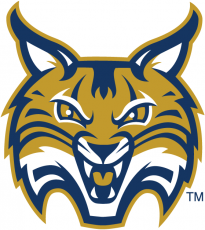 Quinnipiac Bobcats 2002-2018 Secondary Logo heat sticker