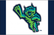 Lynchburg Hillcats 2017-Pres Cap Logo 3 heat sticker