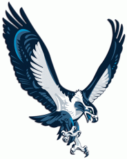Seattle Seahawks 2002-2011 Alternate Logo custom vinyl decal