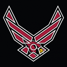 Airforce Arizona Cardinals Logo heat sticker