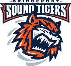 Bridgeport Sound Tigers 2005-2010 Primary Logo heat sticker