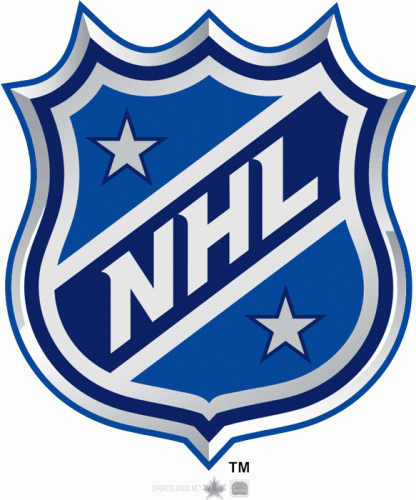 NHL All-Star Game 2010-2011 Team Logo heat sticker