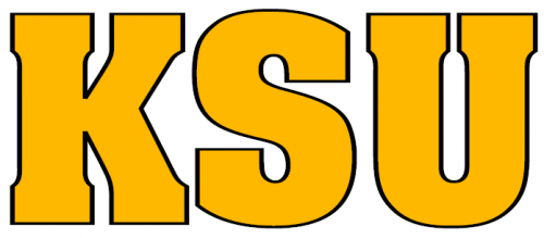 Kennesaw State Owls 2000-2011 Wordmark Logo 02 custom vinyl decal