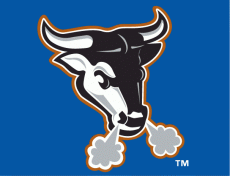 Durham Bulls 2000-2012 Cap Logo heat sticker