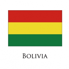 Bolivia flag logo custom vinyl decal