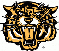 Hamilton Tiger-Cats 1999-2004 Secondary Logo custom vinyl decal