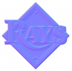 Tampa Bay Rays Colorful Embossed Logo custom vinyl decal