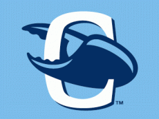 Charlotte StoneCrabs 2009-Pres Cap Logo 2 heat sticker