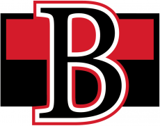 Belleville Senators 2017-Pres Primary Logo heat sticker