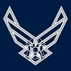 Airforce New York Yankees logo heat sticker