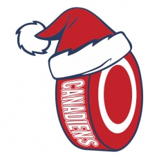 Montreal Canadiens Hockey ball Christmas hat logo heat sticker