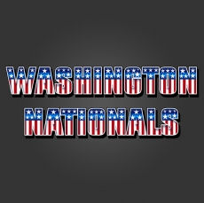 Washington Nationals American Captain Logo heat sticker
