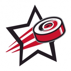 Carolina Hurricanes Hockey Goal Star logo heat sticker
