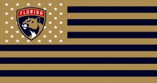 Florida Panthers Flag001 logo heat sticker
