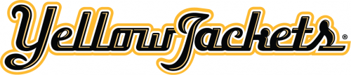 AIC Yellow Jackets 2009-Pres Wordmark Logo heat sticker