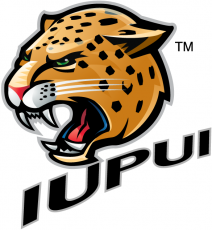 IUPUI Jaguars 2008-Pres Secondary Logo heat sticker