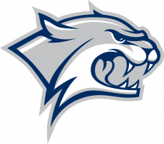 New Hampshire Wildcats 2000-Pres Secondary Logo 01 heat sticker
