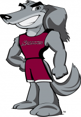 Southern Illinois Salukis 2006-2018 Mascot Logo 07 heat sticker