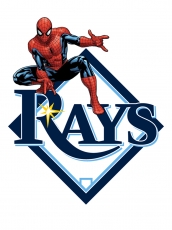Tampa Bay Rays Spider Man Logo heat sticker
